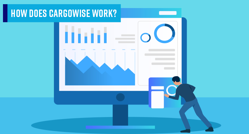 3Discover-Cargowise-Work