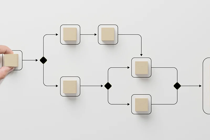 Our Processes